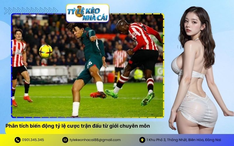 Phân tích biến động tỷ lệ cược trận đấu từ giới chuyên môn