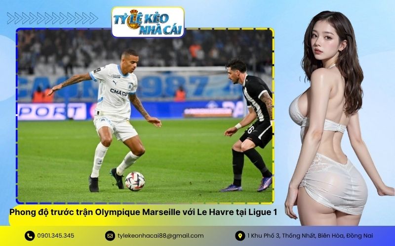 Tổng quan phong độ trước trận Olympique Marseille với Le Havre tại Ligue 1